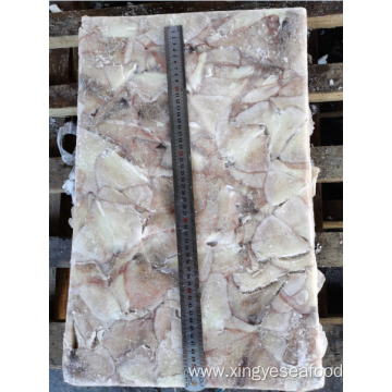 Frozen Squid Leftover Wing Illex Argentinus 100-200g